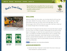 Tablet Screenshot of budstreecare.com